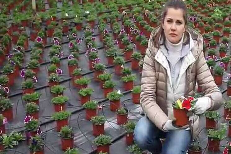 Modiform ontketent duurzame revolutie in de tuinbouw Modiform ontketent duurzame revolutie in de tuinbouw