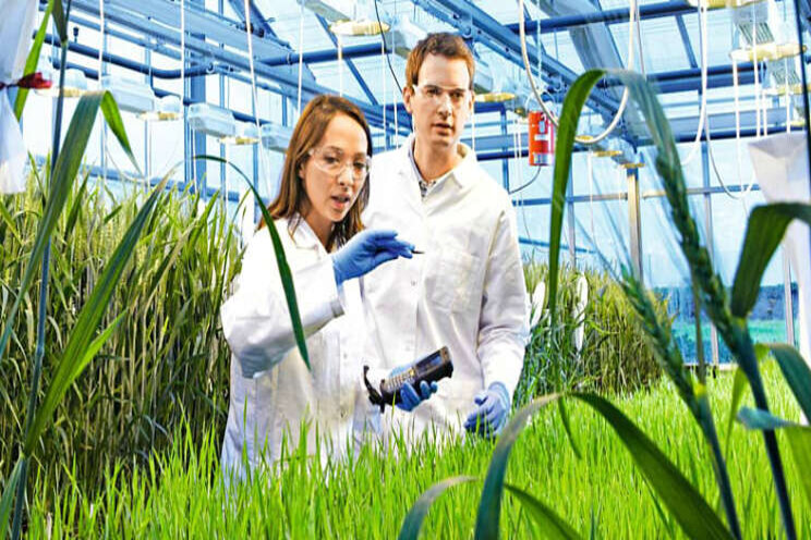 Bayer stelt verwachtingen bij voor CropScience
