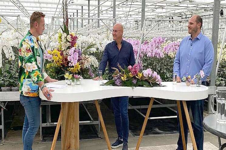 'Prijsvorming snijorchidee hoopgevend' 'Prijsvorming snijorchidee hoopgevend'