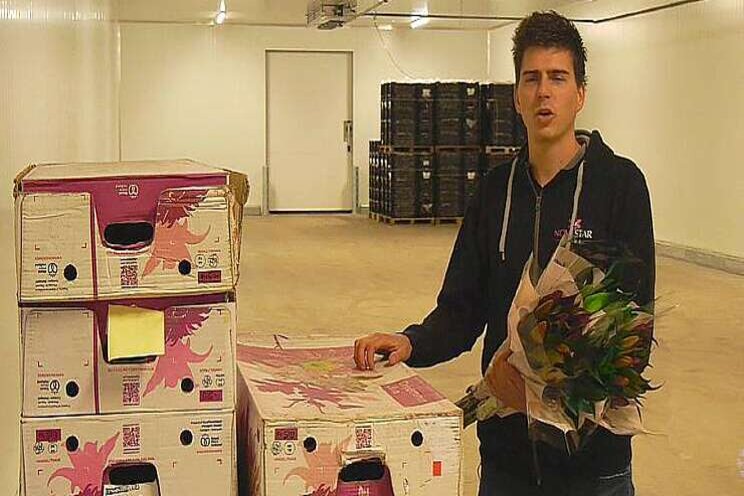Novastar is cool (letterlijk) Novastar is cool (letterlijk)