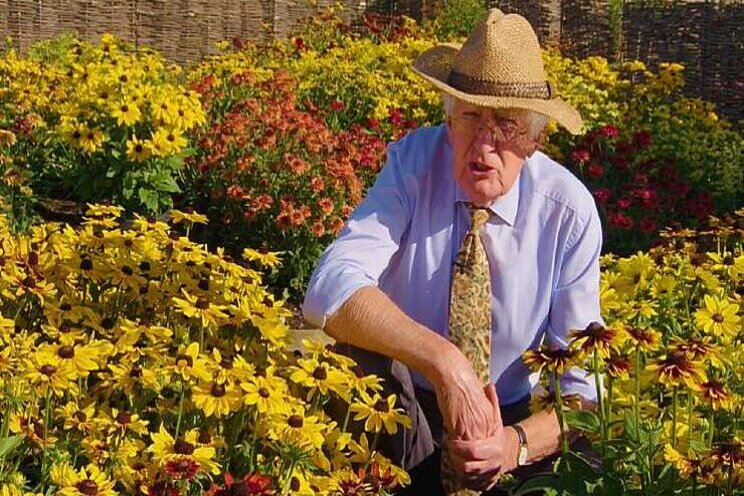 Video: Rudbeckia in Hyde Hall Video: Rudbeckia in Hyde Hall
