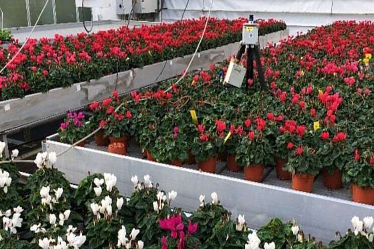 'Perkplantenteelt fossielvrij' verrast deelnemers 'Perkplantenteelt fossielvrij' verrast deelnemers