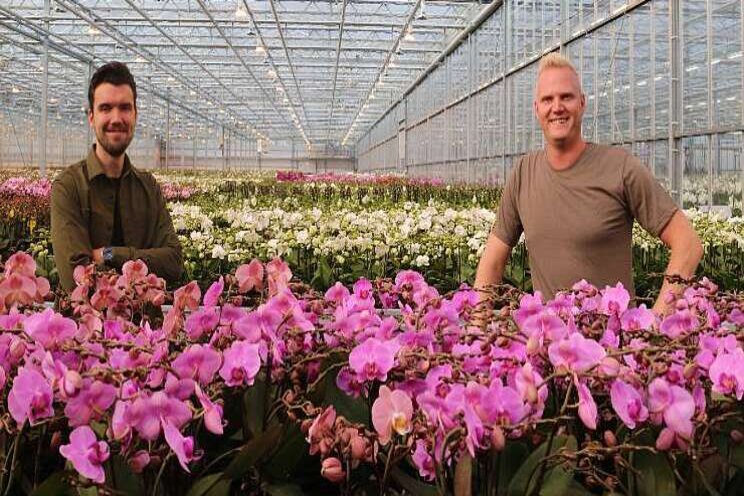 Opti-flor pakt door richting 100% digitale orders Opti-flor pakt door richting 100% digitale orders