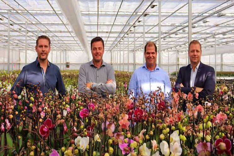 Aardse Orchids stelt vierkoppige directie aan Aardse Orchids stelt vierkoppige directie aan