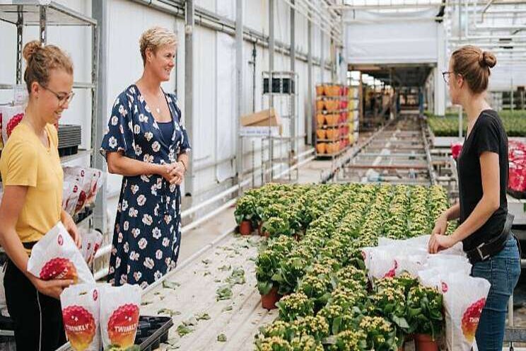 Eerste online sierteelt stagemarkt in oktober Eerste online sierteelt stagemarkt in oktober