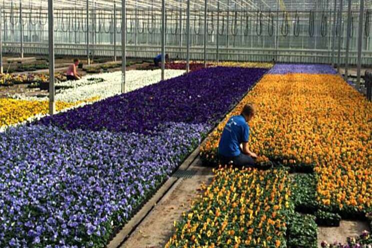 Tuinplantendag 2020 verschoven naar november Tuinplantendag 2020 verschoven naar november