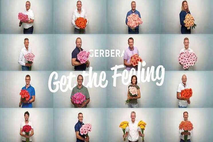 Trotse gerberatelers in collectieve campagne Trotse gerberatelers in collectieve campagne