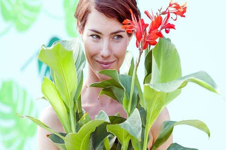 Online plantenverkoop schiet omhoog Online plantenverkoop schiet omhoog