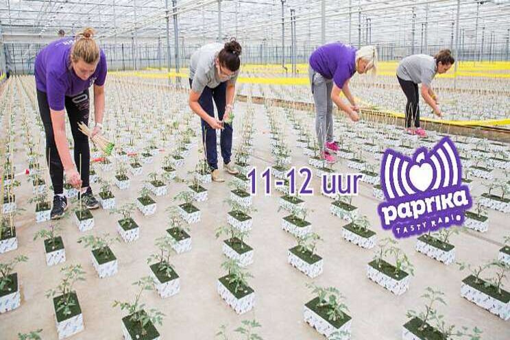 WPK morgen op Paprika