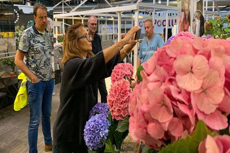 Hortensia als inspiratiebron Hortensia als inspiratiebron