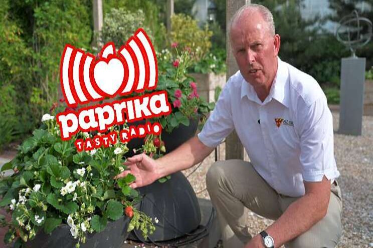 ABZ Seeds maandag op Paprika Tasty Radio ABZ Seeds maandag op Paprika Tasty Radio