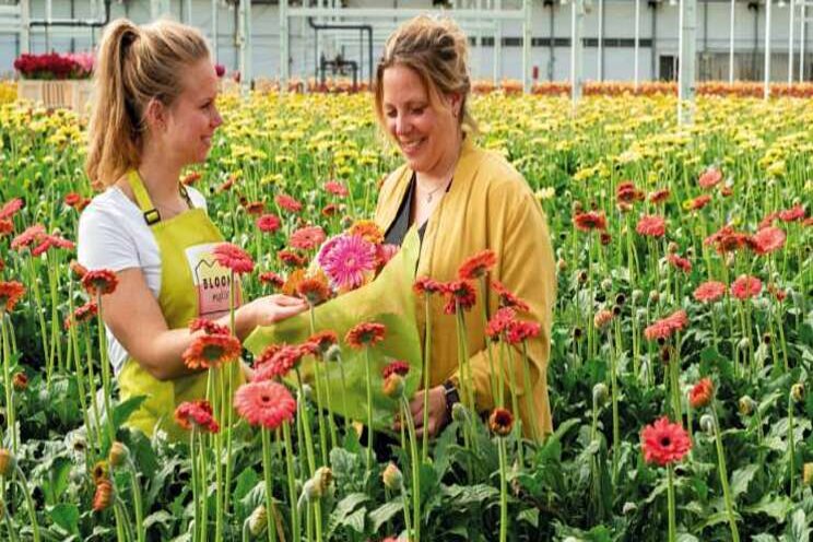 Pluk je eigen boeket nu bij Bloom Makery Pluk je eigen boeket nu bij Bloom Makery