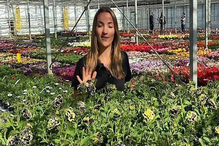 'Petunia Mystical is niet voor iedereen geschikt' 'Petunia Mystical is niet voor iedereen geschikt'
