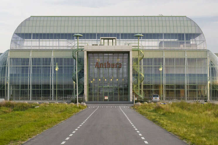Anthura: 'Plant is emotioneel product' Anthura: 'Plant is emotioneel product'