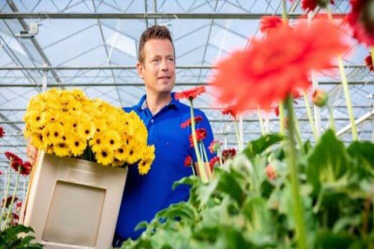 Ook productgroep Gerbera gestart met emmer Fc588 Ook productgroep Gerbera gestart met emmer Fc588