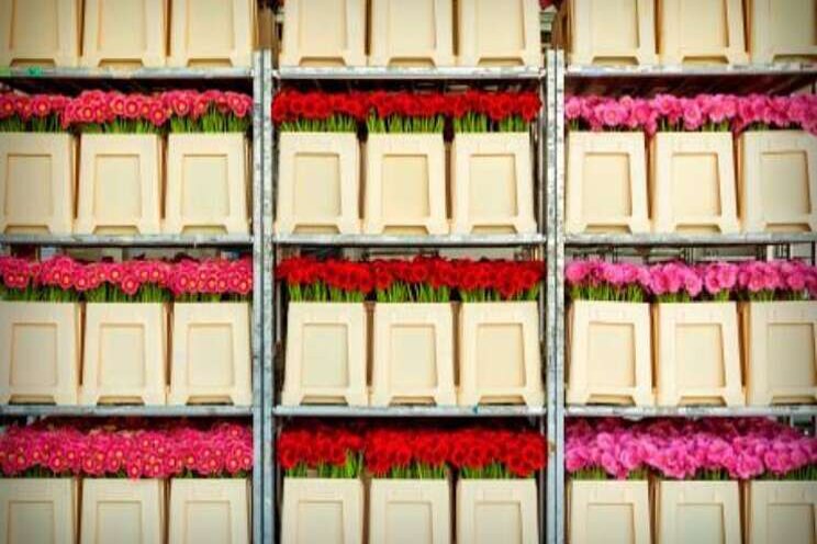FloraHolland maakt nieuwe bloemenemmers van oude FloraHolland maakt nieuwe bloemenemmers van oude