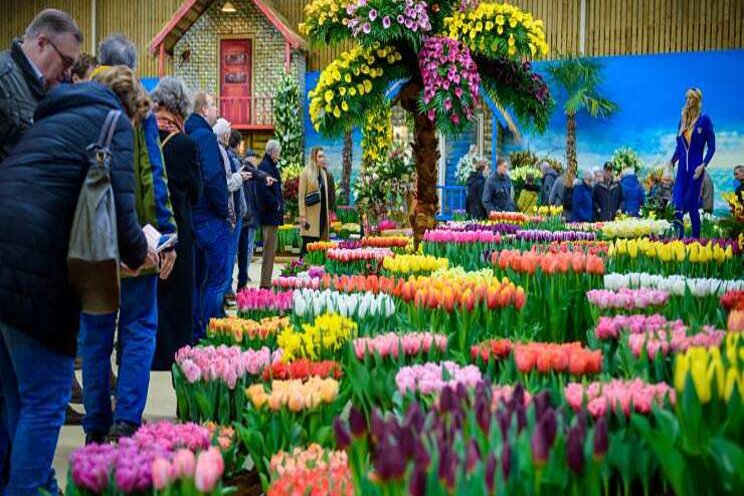 Organisatie zet streep door Lentetuin Breezand 2021 Organisatie zet streep door Lentetuin Breezand 2021