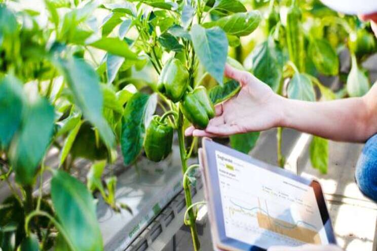 'Slim' AgroEnergy viert feest en trakteert... 'Slim' AgroEnergy viert feest en trakteert...