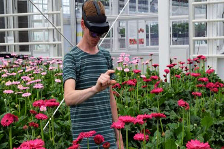 AR-bril vertelt of gerbera kan worden geoogst AR-bril vertelt of gerbera kan worden geoogst