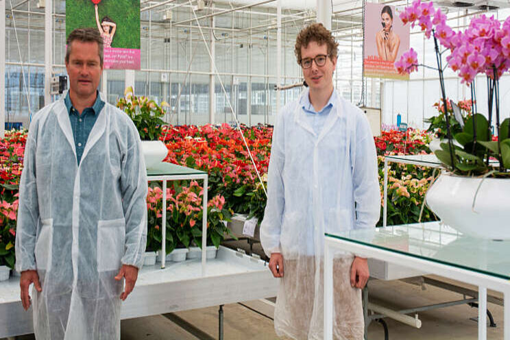 IMAC gaat op in afdeling gewasoptimalisatie Anthura IMAC gaat op in afdeling gewasoptimalisatie Anthura