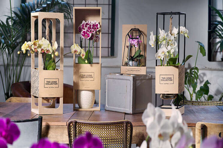 Artisan opent nieuwe winkel Artisan opent nieuwe winkel