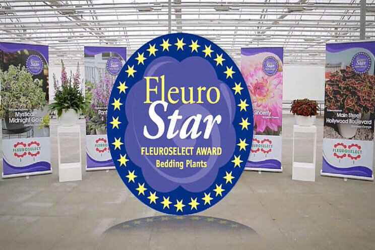Kijk live mee met de FleuroStar-finale 2020 Kijk live mee met de FleuroStar-finale 2020