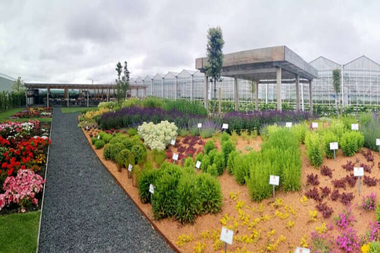 Dümmen Orange opent eerste digitale showtuin Dümmen Orange opent eerste digitale showtuin
