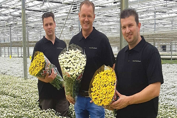 Pompon versterkt Madiba-serie Pompon versterkt Madiba-serie