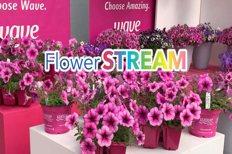 Registreer voor FlowerSTREAM!