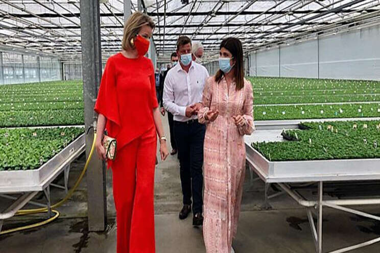 Belgische koningin brengt bezoek aan siertelers Belgische koningin brengt bezoek aan siertelers
