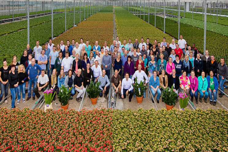 KP Holland van start met implementatie Agriware KP Holland van start met implementatie Agriware