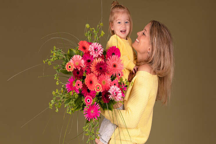 Gerbera laat moeders stralen Gerbera laat moeders stralen