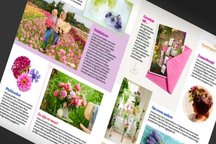 Zomerse editie magazine 365 dagen bloemen Zomerse editie magazine 365 dagen bloemen