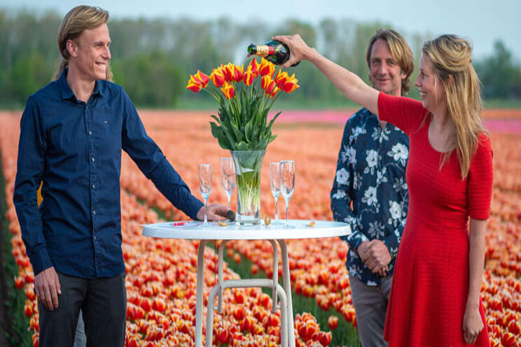 Nieuwe tulp: Stay Strong Nieuwe tulp: Stay Strong