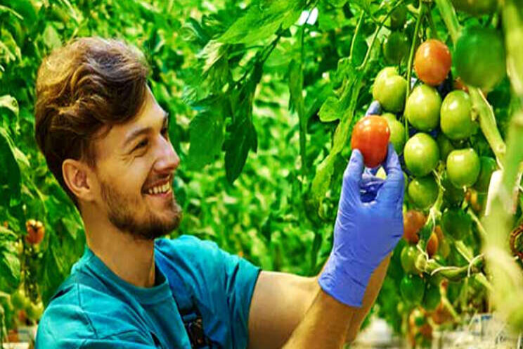 Coronaprotocol voor veilig werken, reizen en wonen Coronaprotocol voor veilig werken, reizen en wonen