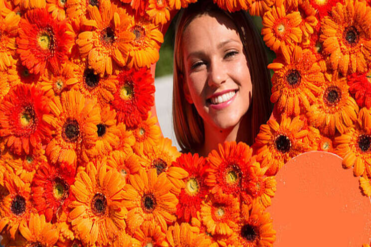 Haal Koningsdag dit jaar in huis met gerbera's Haal Koningsdag dit jaar in huis met gerbera's