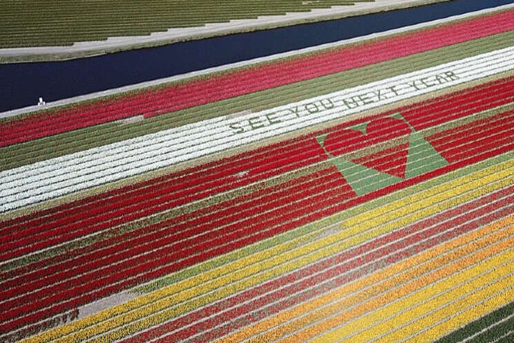 Boodschap van hoop te zien in bloeiend tulpenveld Boodschap van hoop te zien in bloeiend tulpenveld