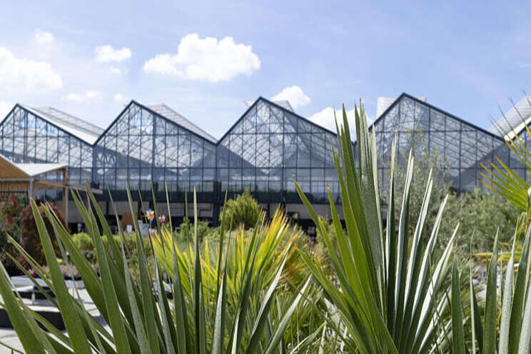 Tuincentra in België mogen deuren weer openen Tuincentra in België mogen deuren weer openen