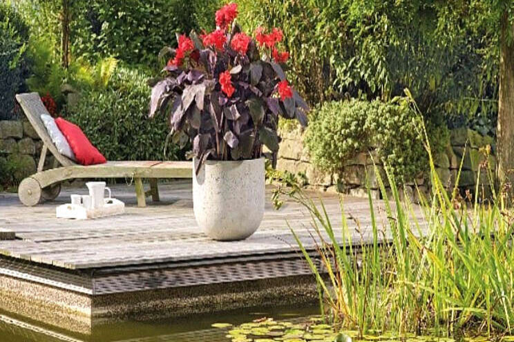 Geef je tuin een tropisch sfeertje met Cannova Geef je tuin een tropisch sfeertje met Cannova