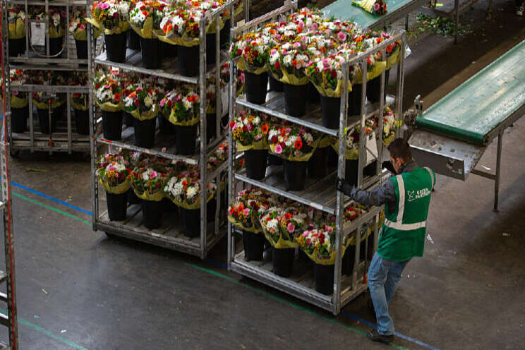 Ali B vandaag met bloemen onderweg naar ouderen Ali B vandaag met bloemen onderweg naar ouderen