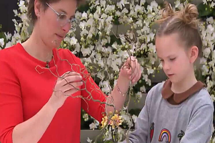 Opti-flor orchideeën geeft online kids-workshop Opti-flor orchideeën geeft online kids-workshop