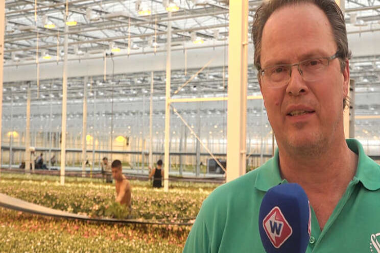 Video: 'Zonder steun gaan we failliet' Video: 'Zonder steun gaan we failliet'