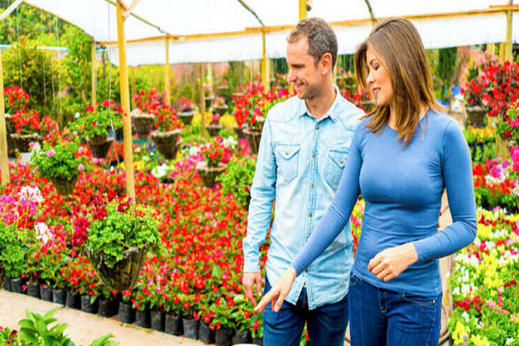 FlowerTrials 2020 geannuleerd FlowerTrials 2020 geannuleerd