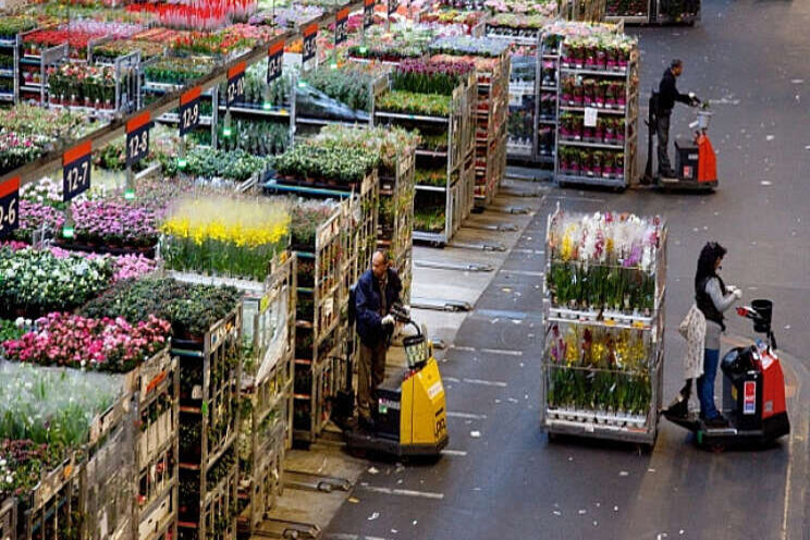 Corona-liveblog FloraHolland Corona-liveblog FloraHolland