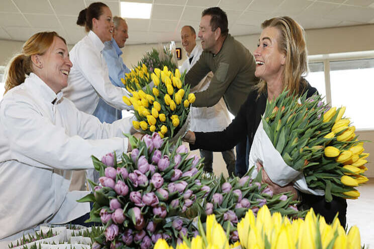 Voedselbranche helpt tulpenkwekers Voedselbranche helpt tulpenkwekers