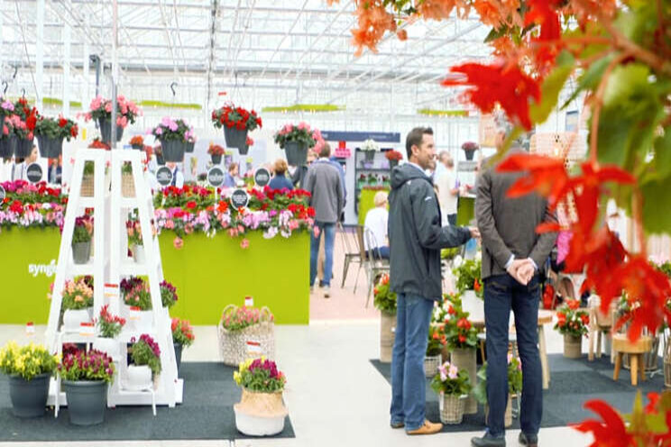 Syngenta annuleert deelname FlowerTrials Syngenta annuleert deelname FlowerTrials