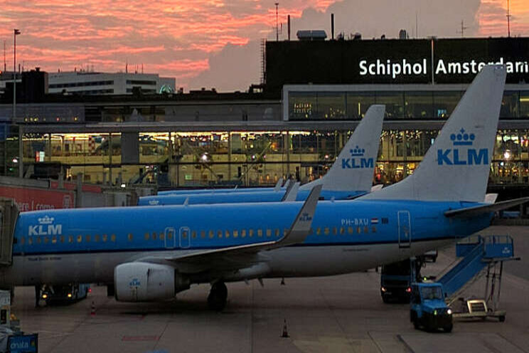 Confiscatie illegale anjers uit Ecuador op Schiphol Confiscatie illegale anjers uit Ecuador op Schiphol