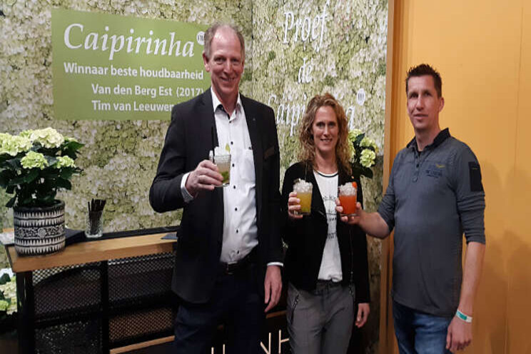 Toasten op Caipirinha Toasten op Caipirinha