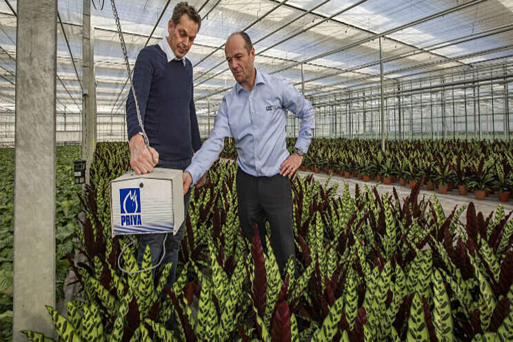 'Priva Connext heeft mooie nieuwe functies en regelingen' 'Priva Connext heeft mooie nieuwe functies en regelingen'