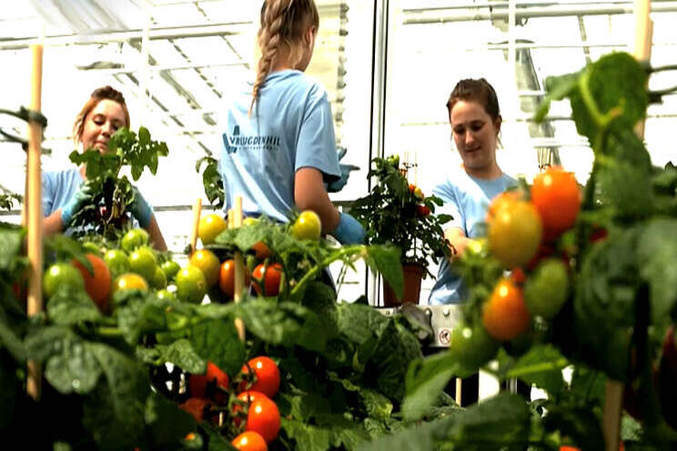 Pick&Joy-seizoen van start Pick&Joy-seizoen van start